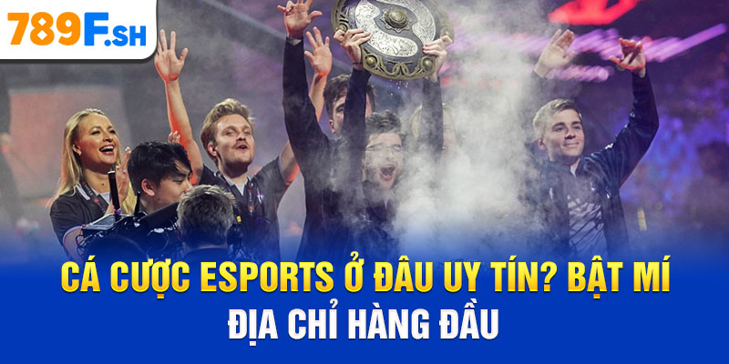Cá cược Esport ở đâu uy tín