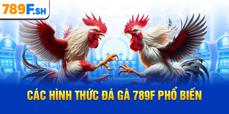 Các hình thức đá gà 789F phổ biến
