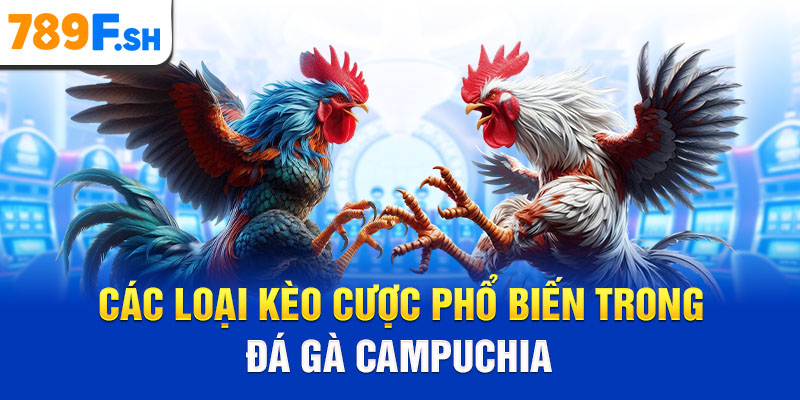 Các loại kèo cược phổ biến trong đá gà Campuchia