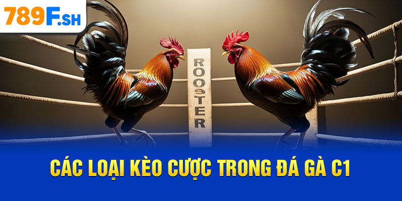 Các loại kèo cược trong đá gà C1