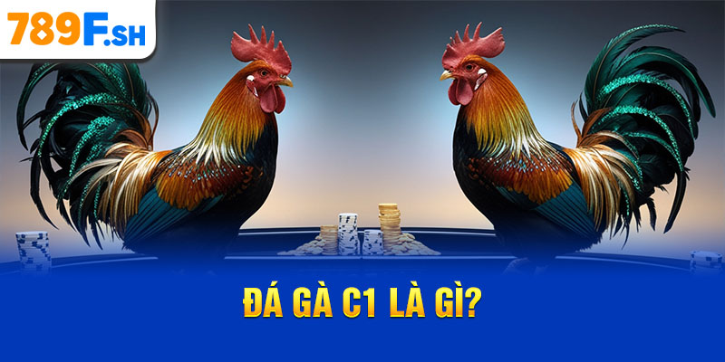 Đá gà C1 là gì?