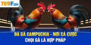 Đá gà Campuchia