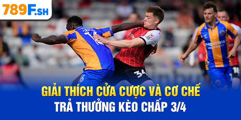 Giải thích cửa cược và cơ chế trả thưởng kèo chấp 3/4