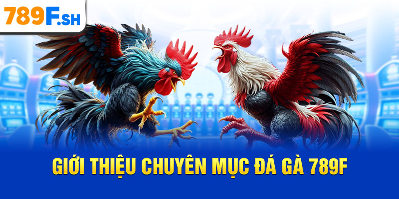 Giới thiệu chuyên mục đá gà 789F