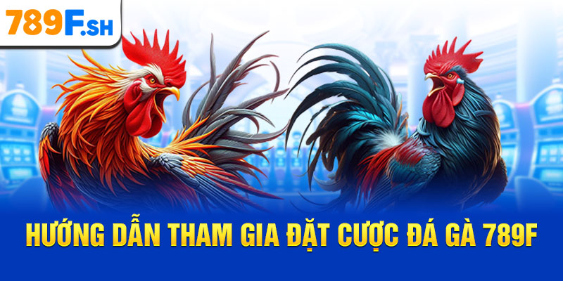 Hướng dẫn tham gia đặt cược đá gà 789F