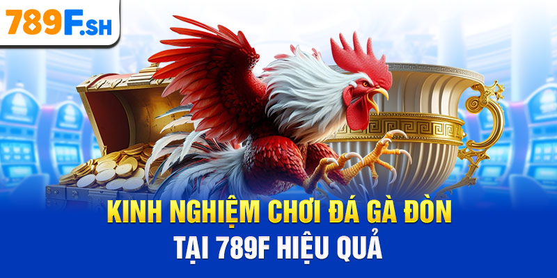 Kinh nghiệm chơi đá gà đòn tại 789F hiệu quả