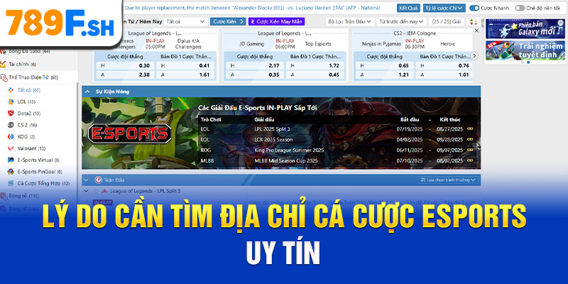 Lý do cần tìm địa chỉ cá cược eSports uy tín