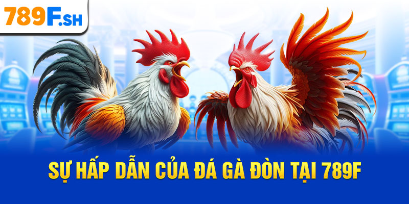 Sự hấp dẫn của đá gà đòn tại 789F